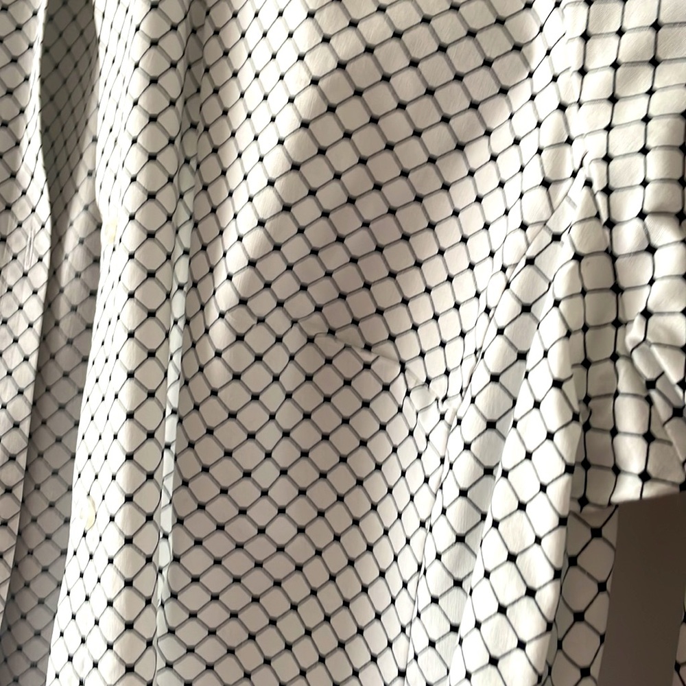 Button Down - Picture 3 of 3